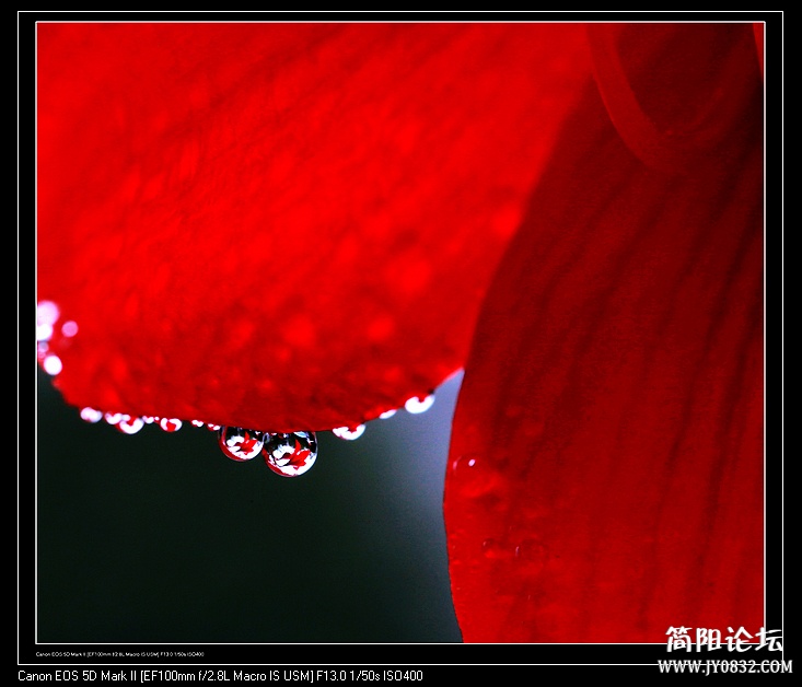 nEO_IMG_IMG_4275.jpg