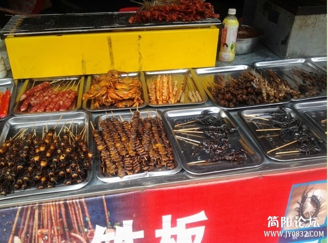 虫虫飞啊.jpg