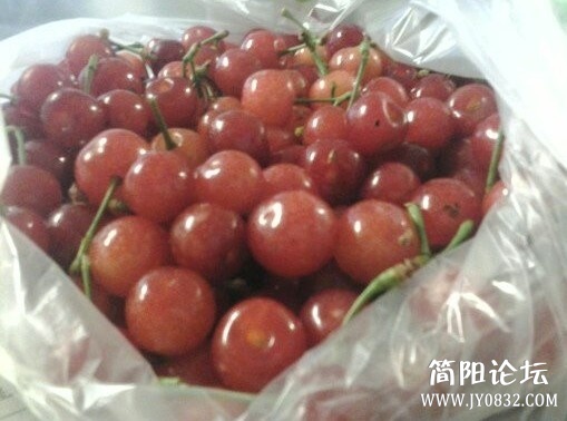 樱桃.jpg