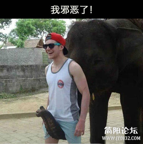 大象的正确玩法.jpg