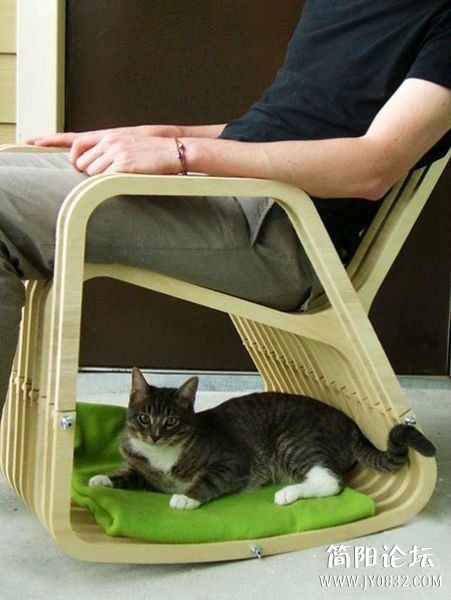养猫的朋友应该买一个这样的椅子啊.jpg
