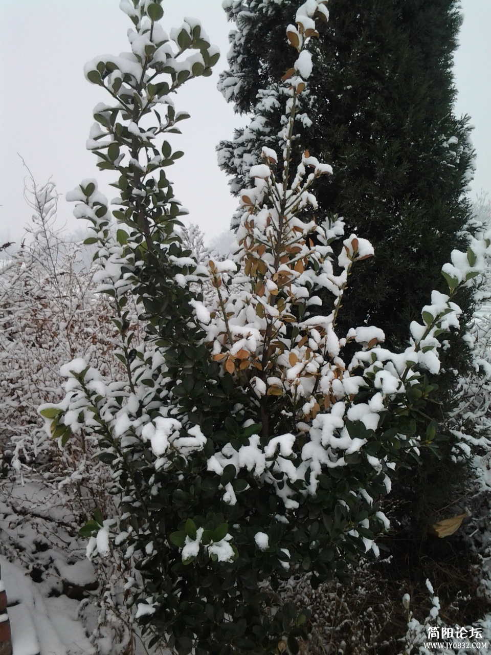 2013-02-08 10.31.54.jpg