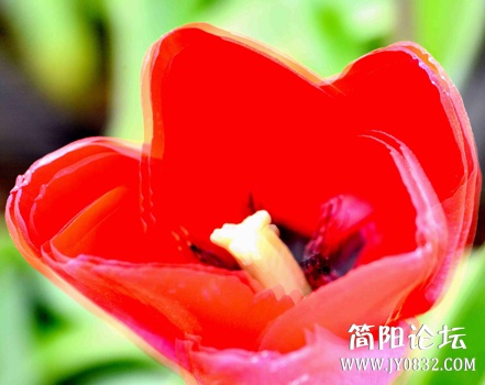 _DSC3312 0副本.jpg
