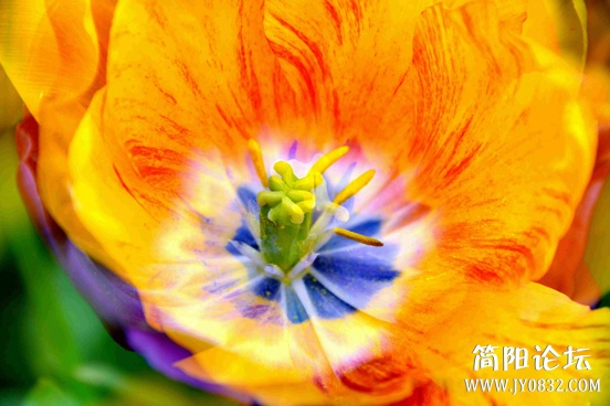 _DSC3295 0副本.jpg