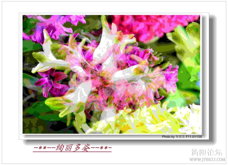 _DSC3305 0副本.jpg