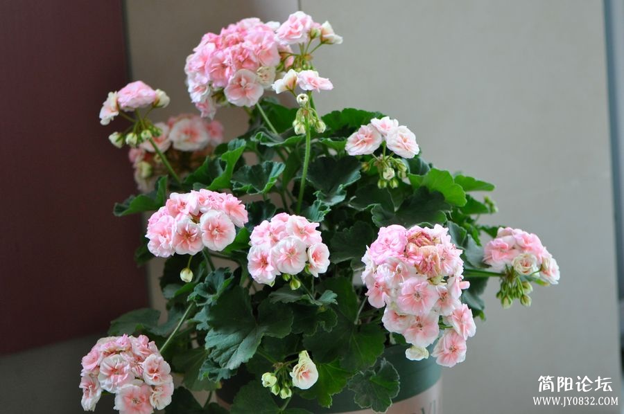 照片 570.jpg