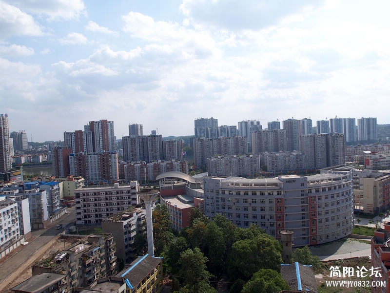 P4295352.jpg