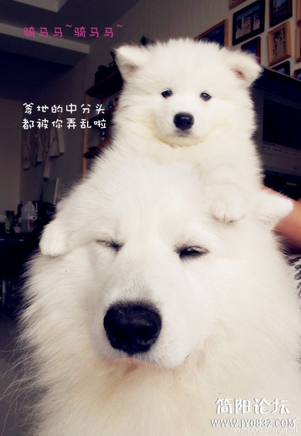 dw (18).jpg