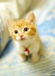dw (99).jpg