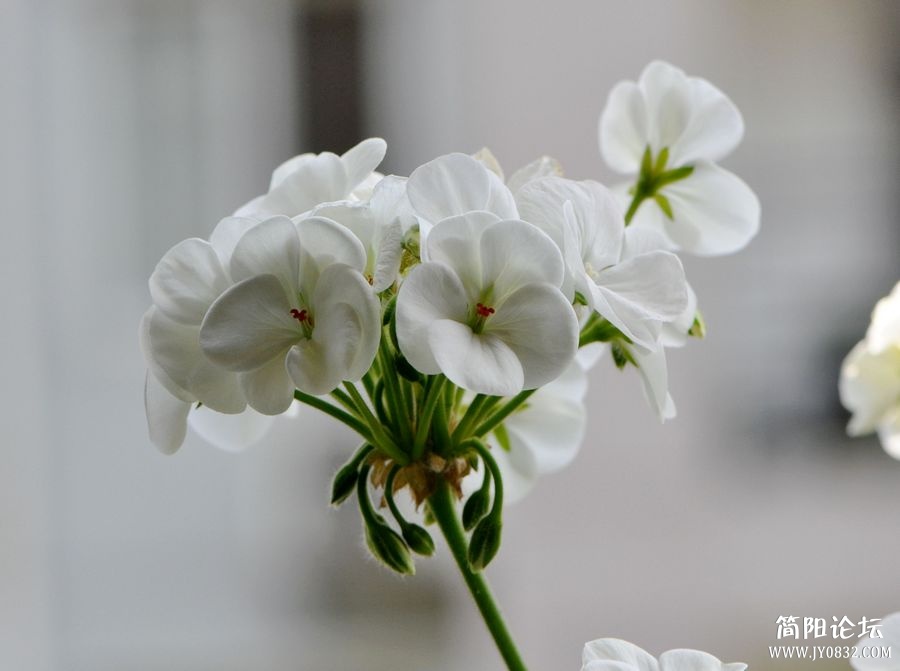 照片 528.jpg