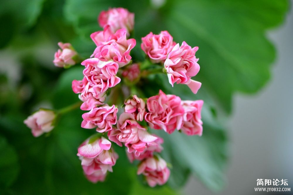 照片 579.jpg