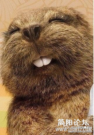 dw (126).jpg