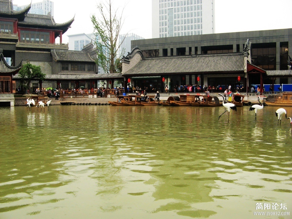 IMG_3246.jpg