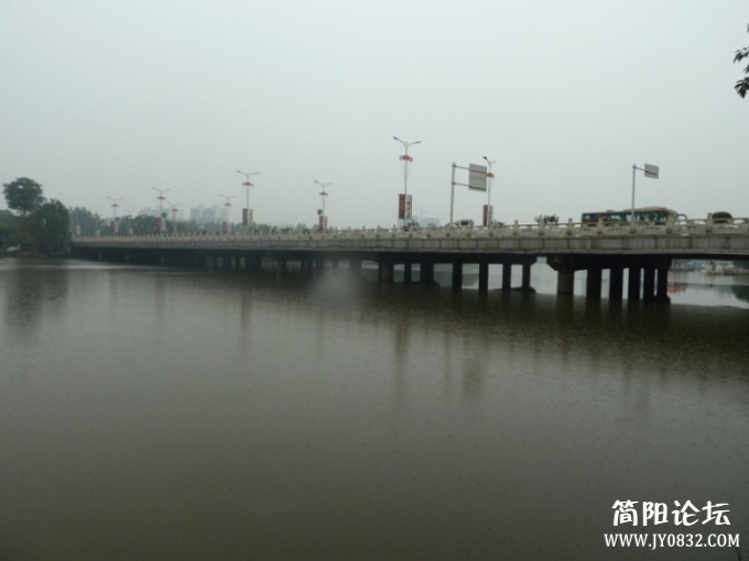 P1100394.jpg