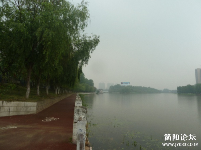 P1100397.jpg