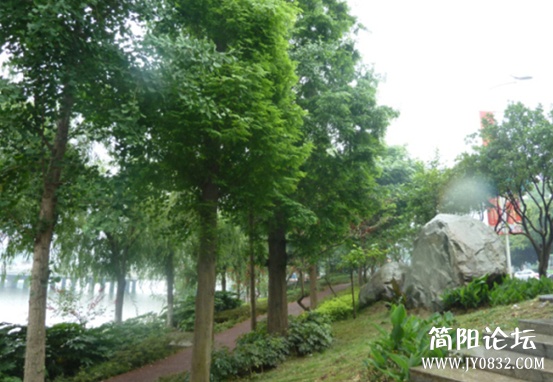P1100399_副本.jpg