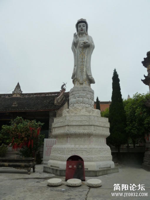 P1100431.jpg