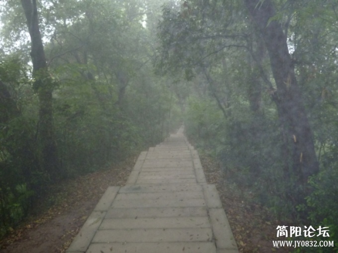 P1100455.jpg