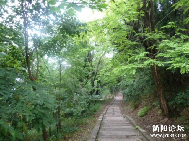 P1100471.jpg