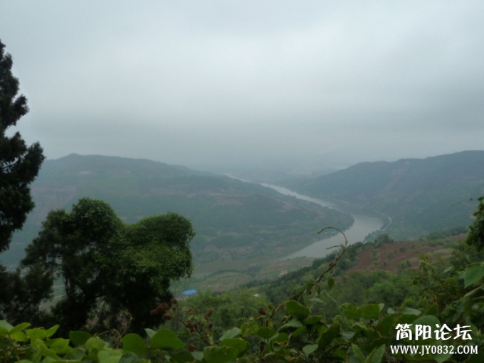 P1100472.jpg