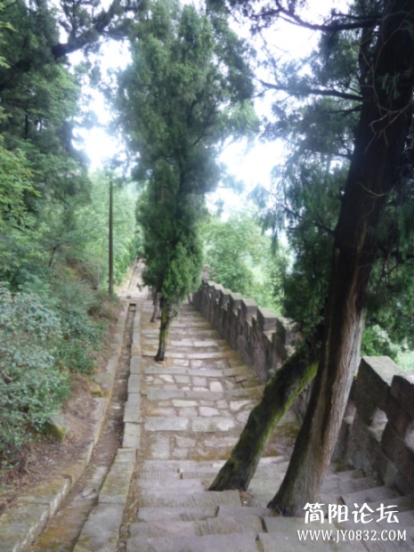 P1100475.jpg