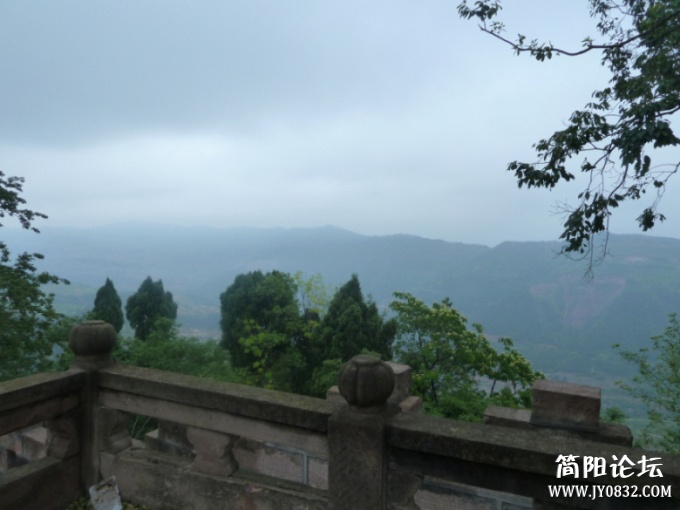 P1100483.jpg