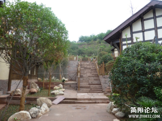P1100565.jpg