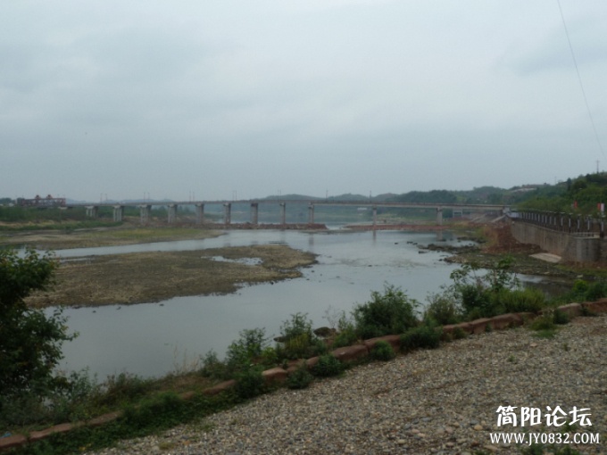 P1100611.jpg