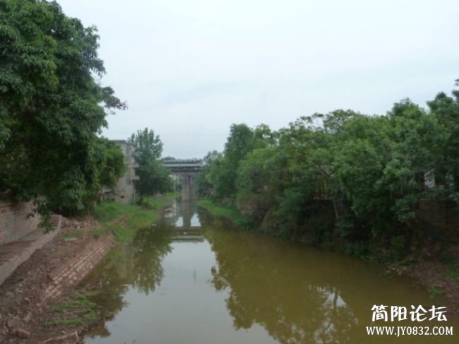 P1100647.jpg