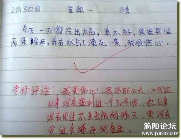 疯狂的日记.JPG