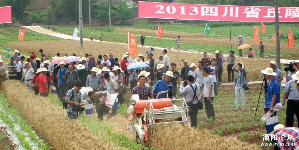 100_3307.JPG