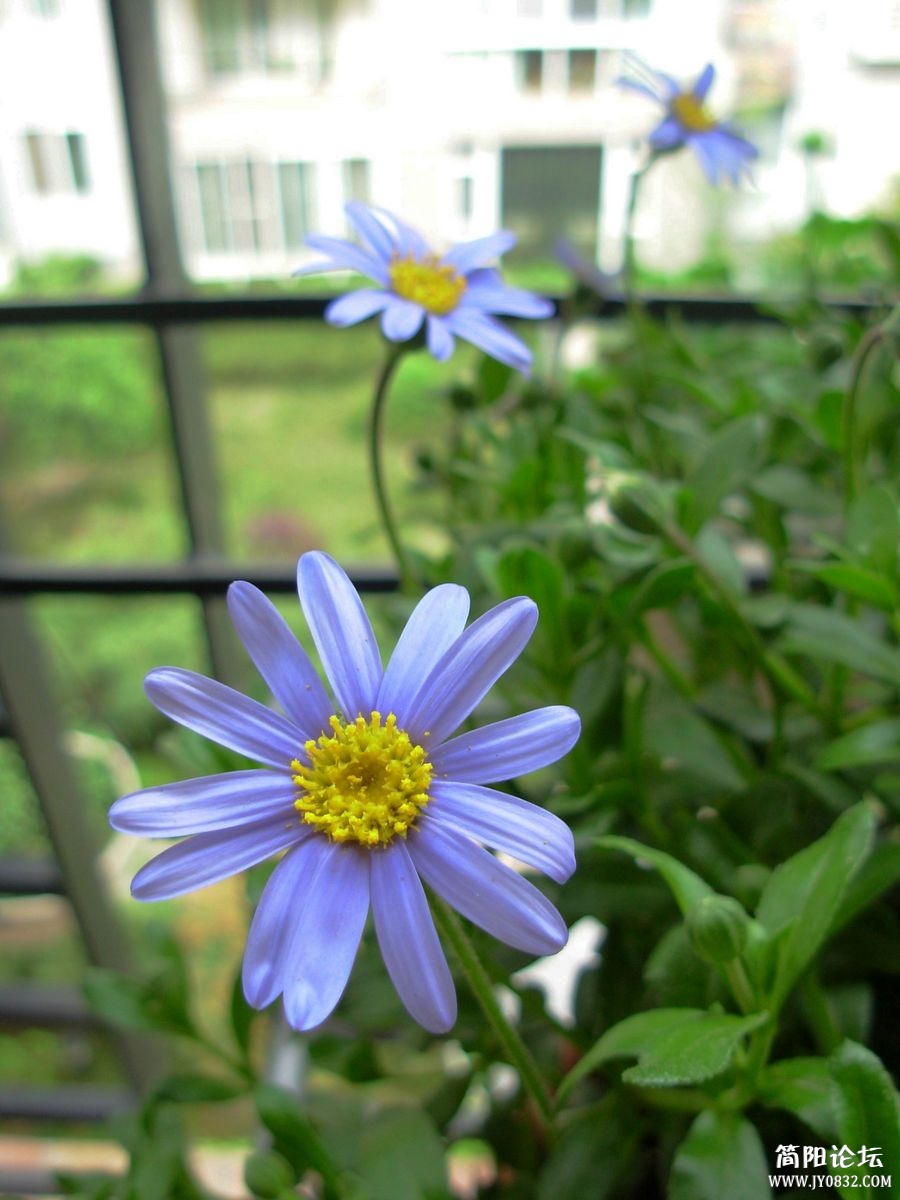 DSCN1272.JPG