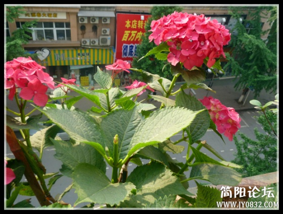P1100693_副本.jpg