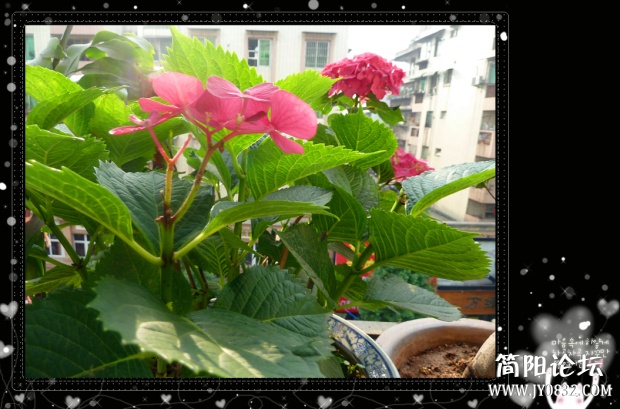 P1100696_副本.jpg