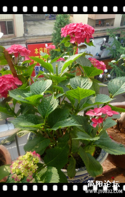 P1100697_副本.jpg