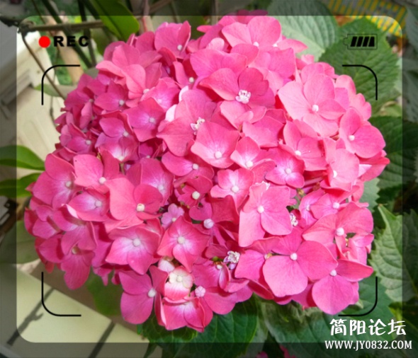 P1100702_副本.jpg