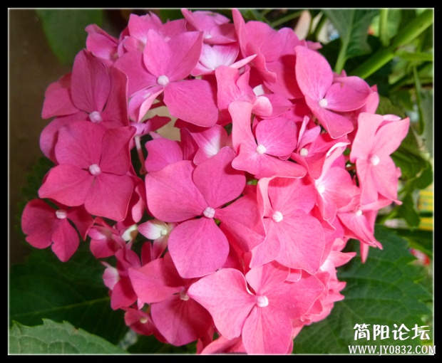 P1100707_副本.jpg