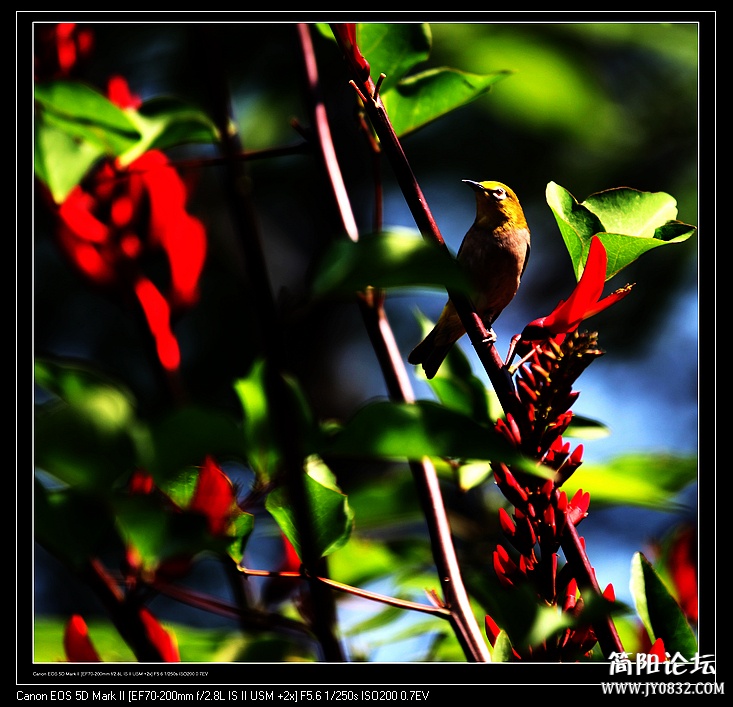 nEO_IMG_IMG_5252.jpg