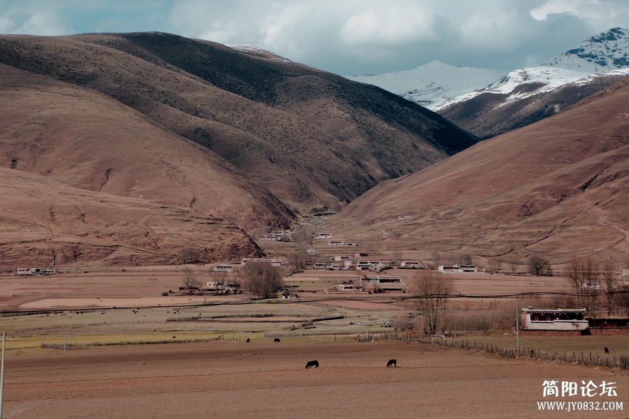 2P2A05061.jpg