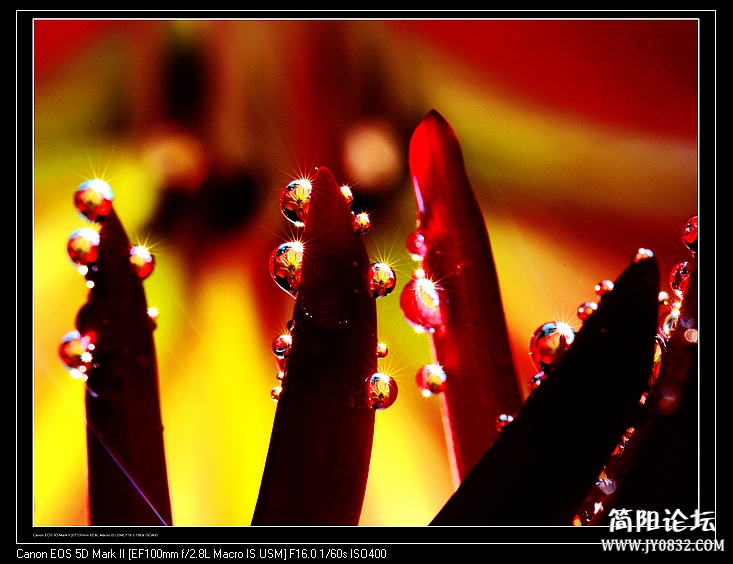 nEO_IMG_IMG_5288.jpg