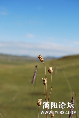 DSC_0022.jpg