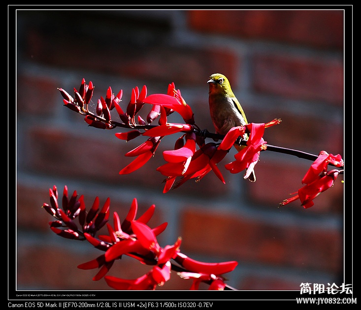 nEO_IMG_IMG_5881.jpg