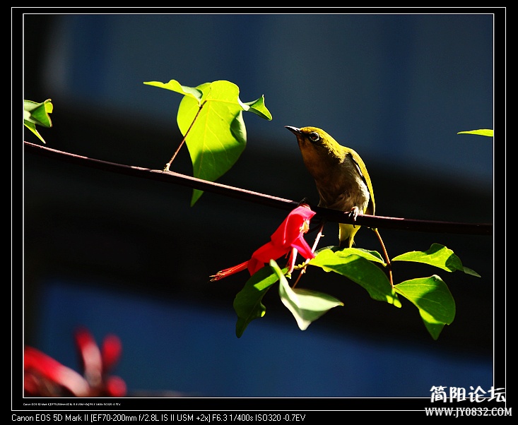 nEO_IMG_IMG_5875.jpg