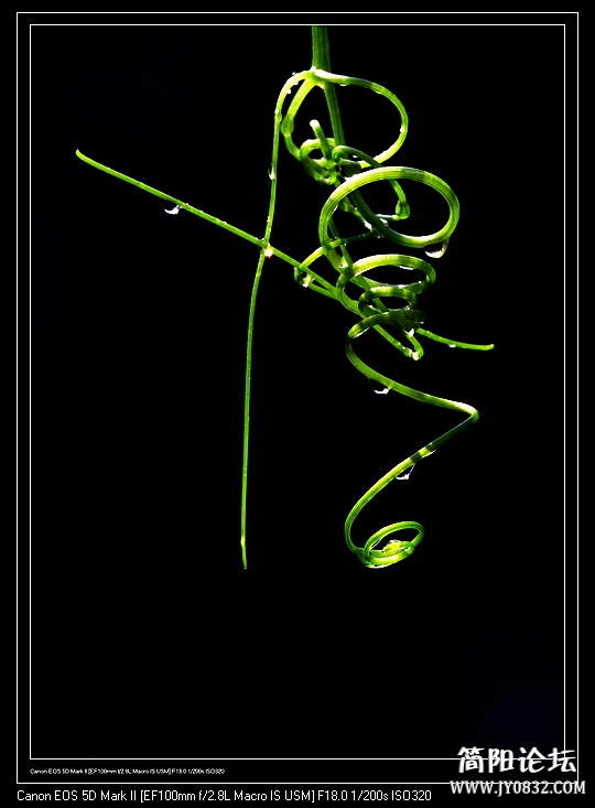 nEO_IMG_IMG_5910a.jpg