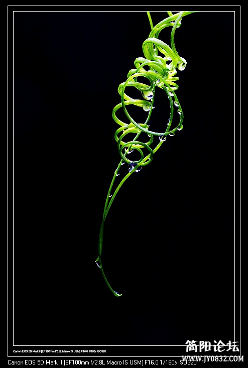 nEO_IMG_IMG_5933a.jpg