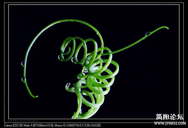 nEO_IMG_IMG_5967a.jpg