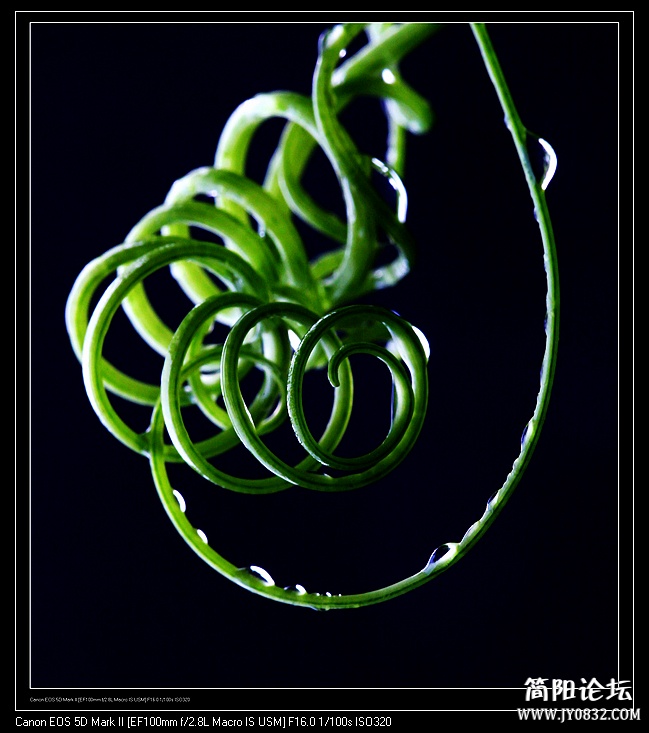 nEO_IMG_IMG_5976b.jpg