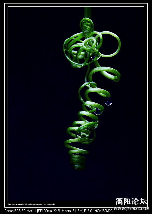 nEO_IMG_IMG_6005a.jpg
