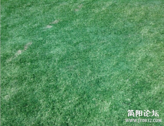 QQ图片20130520103009.jpg