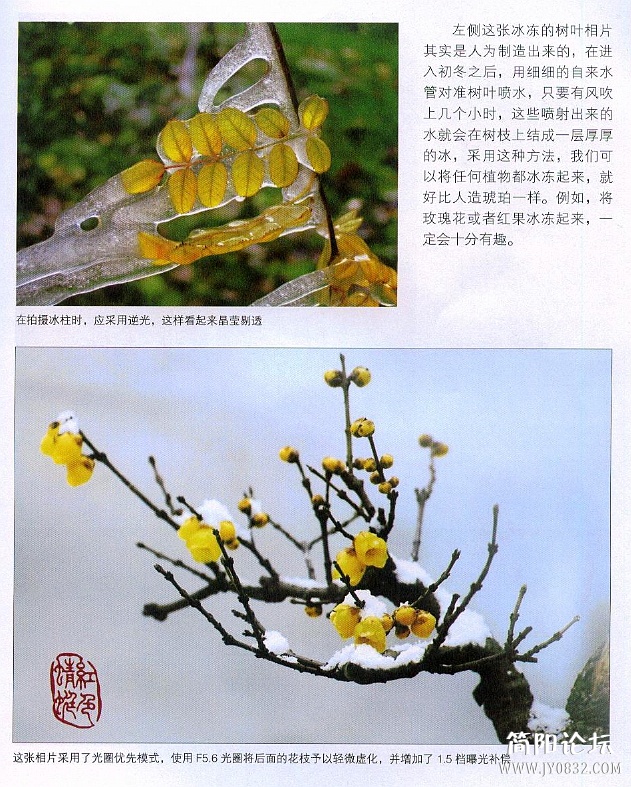 数码单反摄影轻松入门0143.jpg